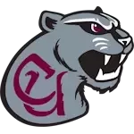 Concord Mountain Lions